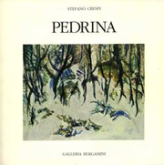 Franco Pedrina - Catalogo Galleria Bergamini - 1991 - Milano